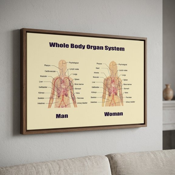 [UNFRAMED] StateSide Prints Skeletal and Muscular System Anatomy Poster Medical Human Body Chart Art Print Beige