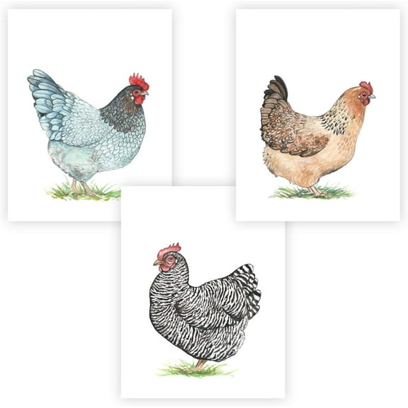 UNFRAMED Watercolor Art 3 Print Set 8.5" x 11" Perfect for Bedroom, Bathroom, Kitchen, Nursery etc. Can Be Framed 8" x 10" or Larger with mat. Unique Wall Decor!! (Chickens Black)