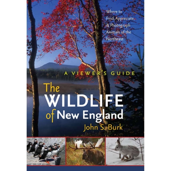 Pre-Owned The Wildlife of New England: A Viewer's Guide (Paperback) 1584658347 9781584658344