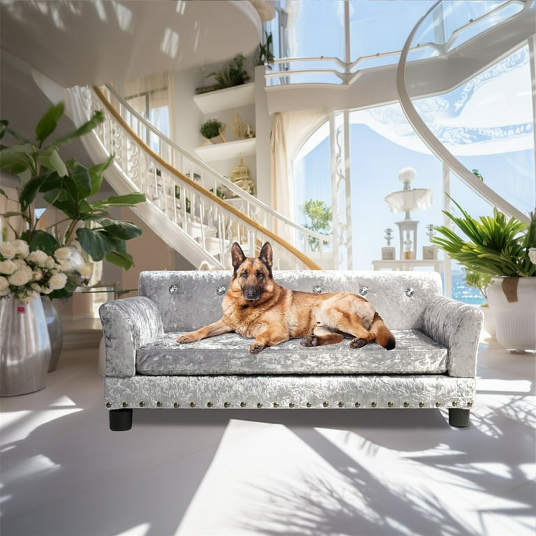 UNHO Velvet Tufted Couch Pet Bed Upholstered with Removable Cushion 38 inchx28 inchx16 inch Men s Size 38 x 28 x 16