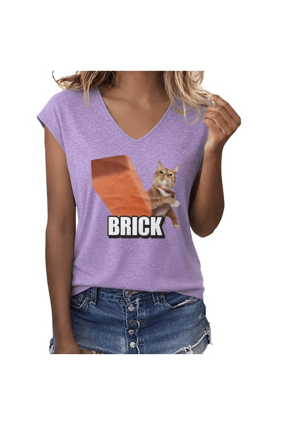 Women's Brick Meme Orange Cat Funny Viral Graphic V-Neck Short Sleeve Casual Pet Humor T-Shirt Top