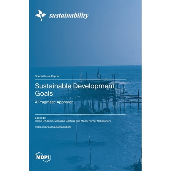 Sustainable Development Goals: A Pragmatic Approach, (Hardcover)