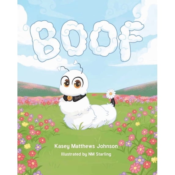 Boof, (Paperback)