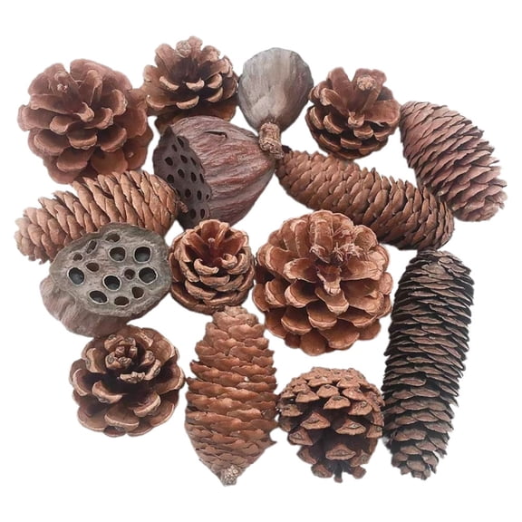 UNOMOR 1 Set Christmas Pine Cone Decoration with DIY Dried Lotus Seedpod Random Style