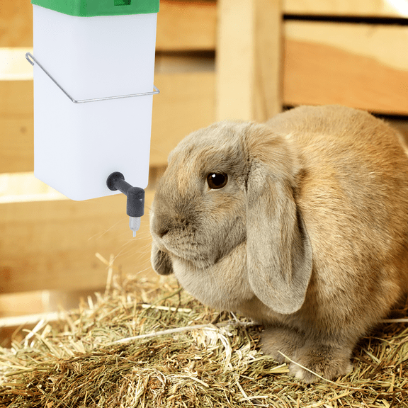 Soimiss Rabbit Water Fountain, Automatic Drinking Feeder, Green Plastic, Safe and Durable, for Pets