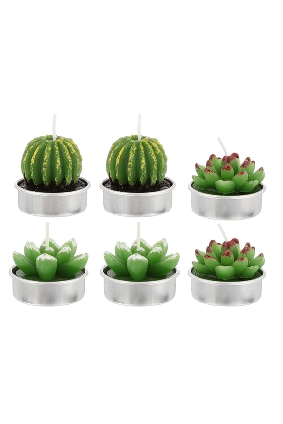 6Pcs Succulent Tealight Candles for Home Aromatherapy present