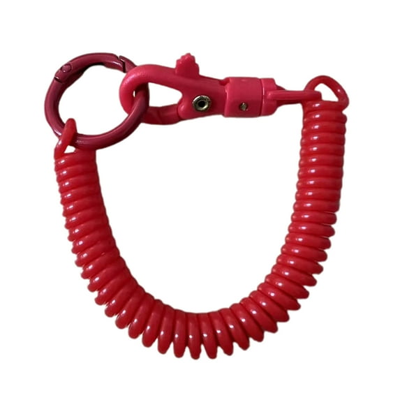 UNTERING Stretchy Spirals Keyring, Retractable Keychain Coil Spring Keychain Alloy Key Holder Colors Key Chain for Backpack