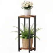beautiful flower with heart philodendron Heartleaf Philodendron Houseplant with Planter - Medium (5