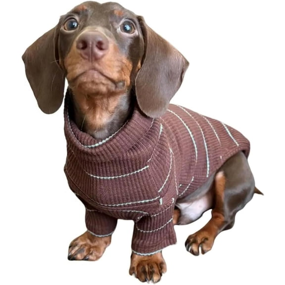 UOSIA Dachshund Clothes Dog Coat Spring Autumn Two-Legged Pullover Puppy Pajamas Outfits for Small Dogs