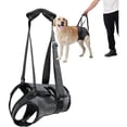 thumbnail image 1 of UOSIA Dog Halter Harnesses, Adjustable Lift Hanress Soft Padded Dog Support Harness, 1 of 7