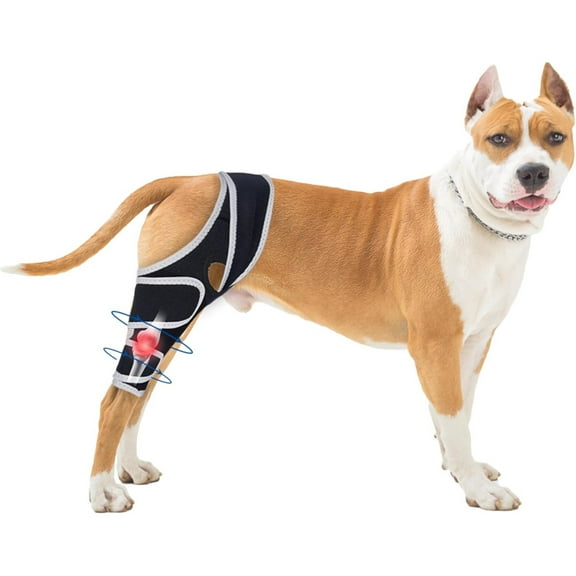 UOSIA Dog Knee Brace Adjustable Leg Support Bracket Dog Dog Knee Brace for Four Legs