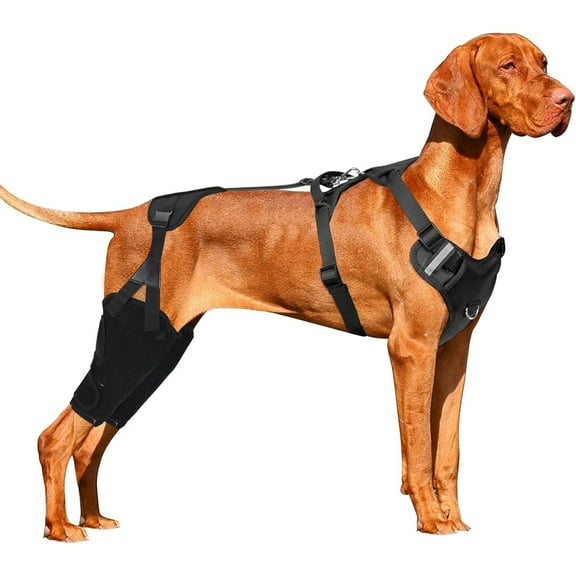 UOSIA Dog Knee Leg Brace, Dog ACL Brace for Back Hind Rear Leg, Dog Leg Support Brace