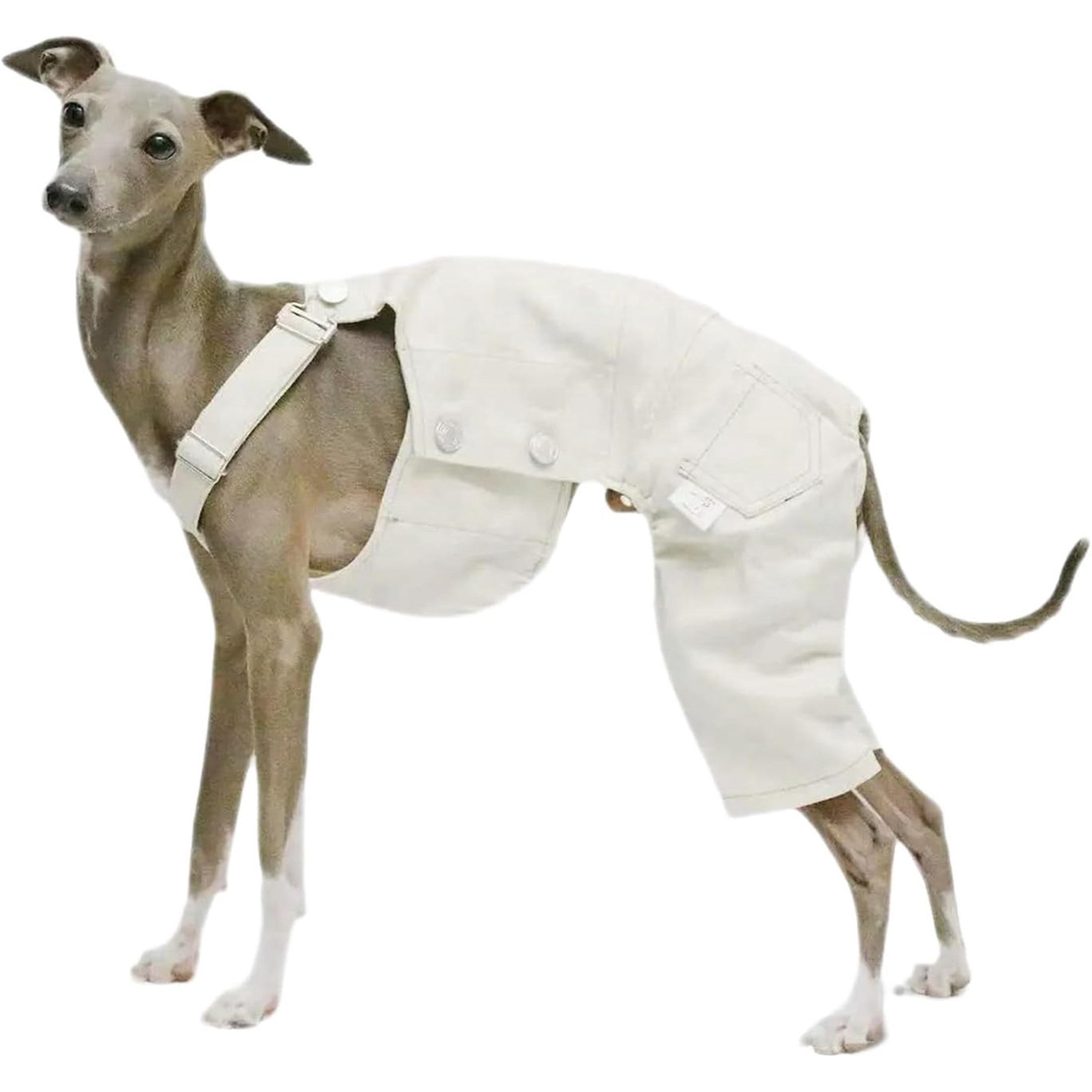 UOSIA Italian Greyhound Clothes Dog Denim Overalls Fashionable Puppy Jean Jacket