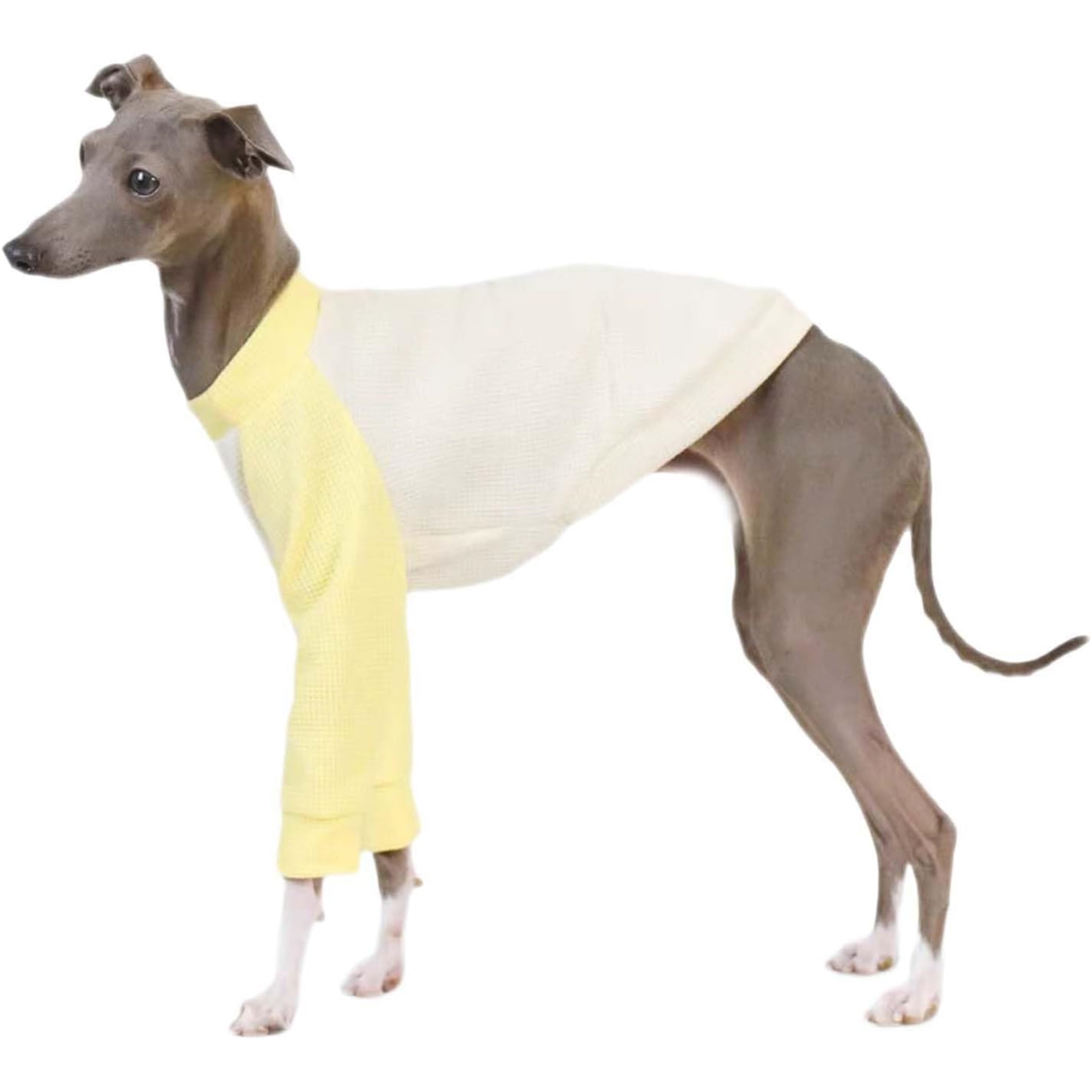 UOSIA Italian Greyhound Clothes Dog Denim Overalls Fashionable Puppy Jean Jacket