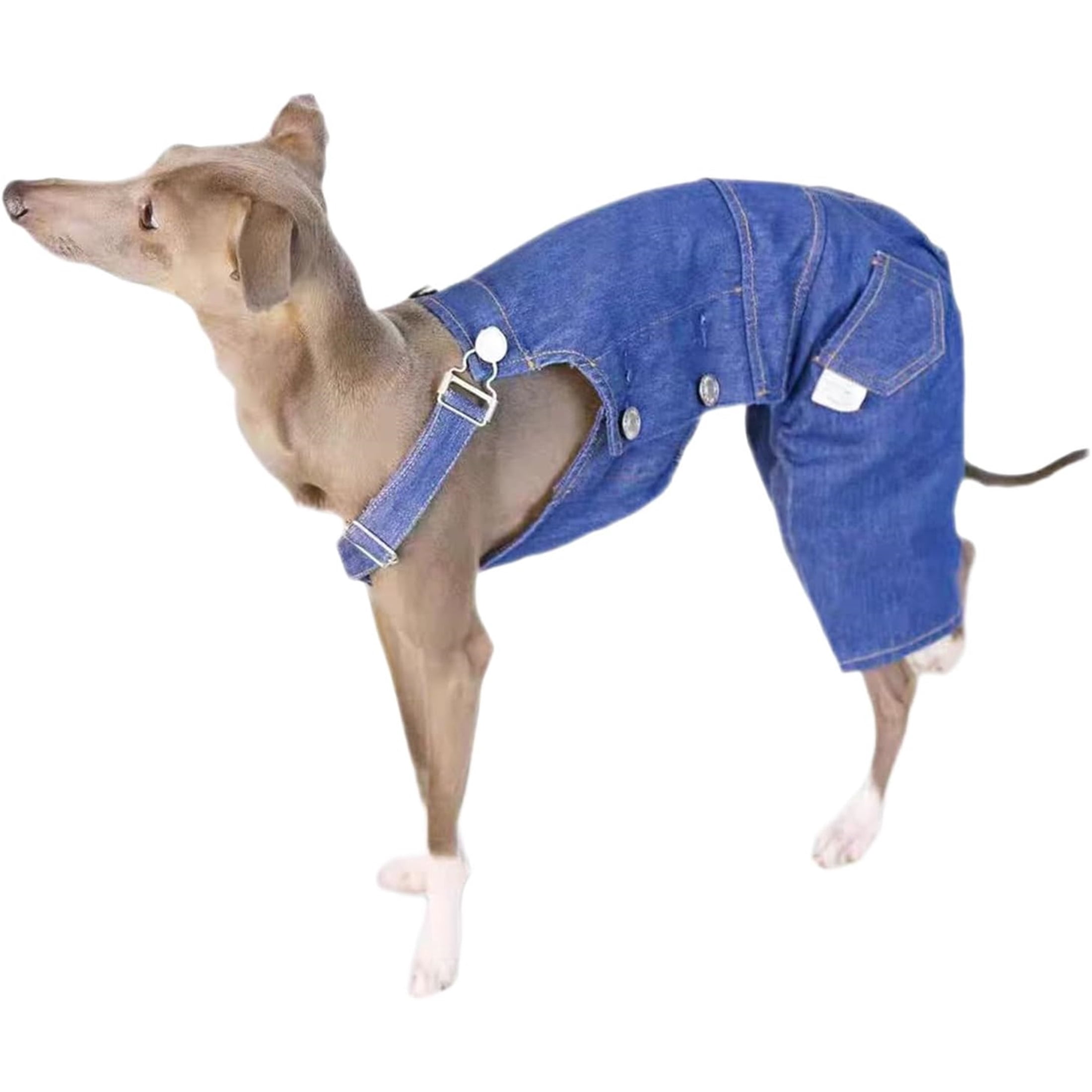 UOSIA Italian Greyhound Clothes Dog Denim Overalls Fashionable Puppy Jean Jacket