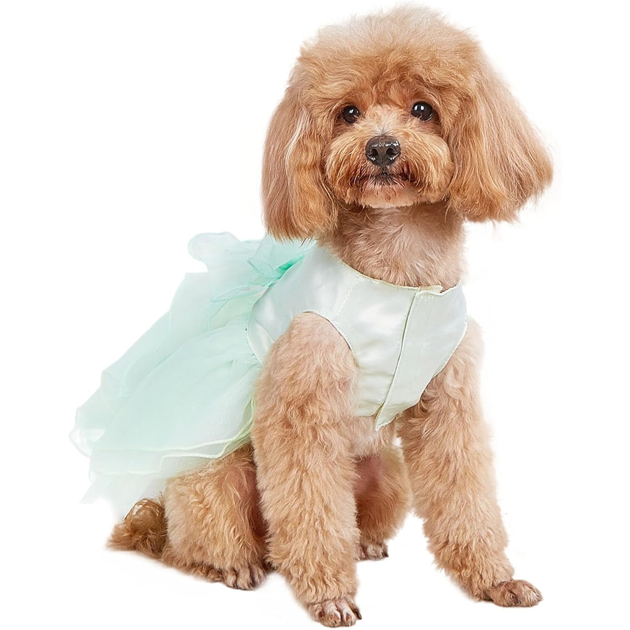 UOSIA Pet Dog Dress Girl Green Puppy Chihuahua Yorkie Tutu Skirt,M,Green