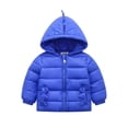 thumbnail image 1 of UP TO 15% OFF! Toddler Baby Girls Boys 3D Dinosaur Hooded Jacket Autumn Winter Coat Kids Zipper Up Outwear Warm Clothes, 1 of 6