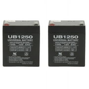 UPG Sealed Lead-Acid 12 Volt Vehicle Battery