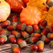 UPGRATOR 100Pcs Multi Colored Artificial Acorns For Diy Crafts And Seasonal Decorations