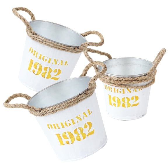 UPGRATOR 3Pcs White Iron Storage Buckets with Vintage Rope Handles for Plants and Decoration