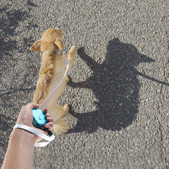 UPGRATOR Blue Nylon Retractable Pet Leash Easy Control for Small Dogs Outdoor Walking