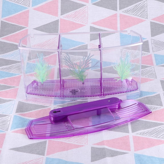 UPGRATOR Desktop Purple Fish Tank for Home and Aquarium with Practical Three Grid Feature