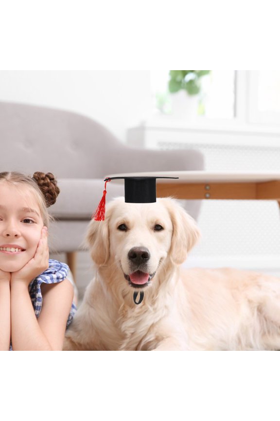 Hamster Graduation Hat Black Felt Decorative Cap for Home Photos