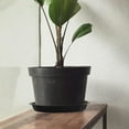 thumbnail image 1 of UPKOCH 12pcs Planter Saucers Drain Trays Black PP Leak Prevention Water Drip Tray For Indoor Plants, 1 of 6