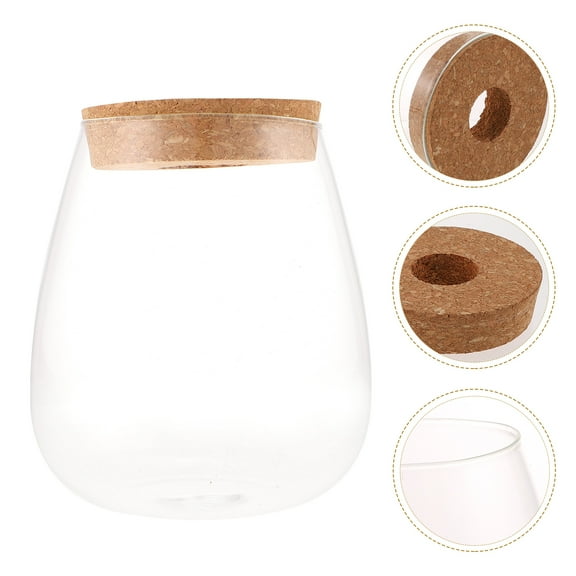 UPKOCH Ecological Glass Planter Hydroponic Jar 1Set Multi Glass Suitable For Outdoor Decoration