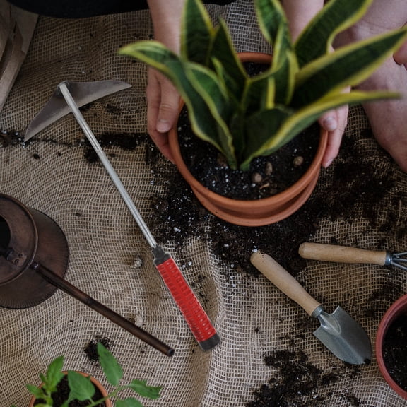 UPKOCH Garden Hand Hoe for Digging and Weeding with Stainless Steel and Plastic Lightweight Design Red