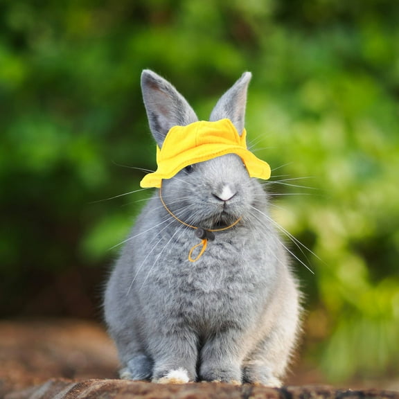UPKOCH Pet Bunny Hat Rabbit Accessory For Daily Decoration Comfortable Durable Mini Cap For Small Animals Present For