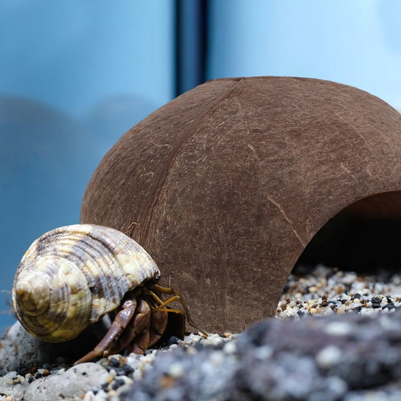 UPKOCH Reptile Pet Shelter 1Set for Lizards and Spiders in Coffee Colored Wood and Resin