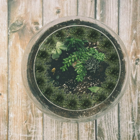 UPOUART 1 Set of Miniature Grass Tufts Green Resin for Home Decoration