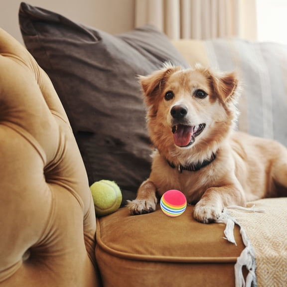 UPOUART 10Pcs Eva Floating Ball for Active Pet Fetch and Training