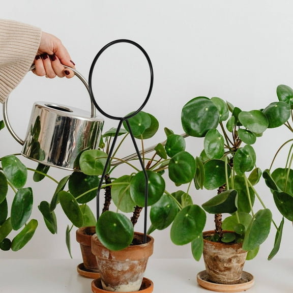 UPOUART 1Pcs Metal Circle Shape Arch Trellis for Outdoor Plant Support Homeowners 13.56X3.93X0.16in