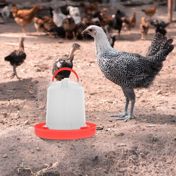 UPOUART 1Set Multi Use Poultry Feeding Box with Automatic Water Feeder and Sturdy Clear Food Holder