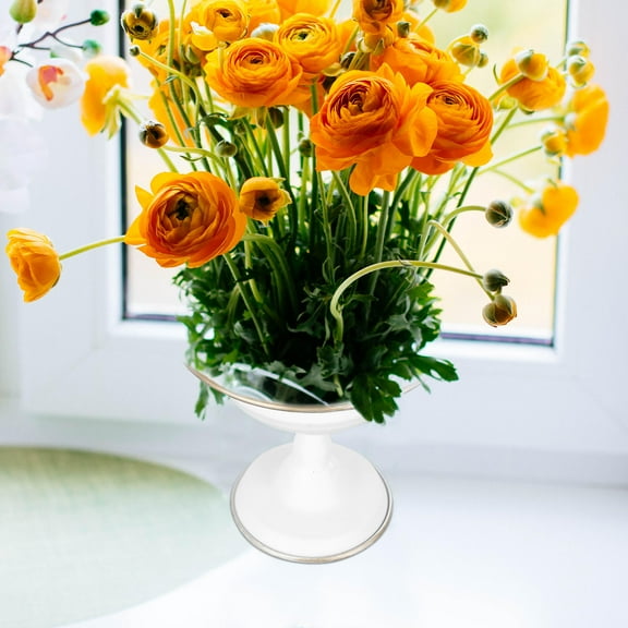 UPOUART White Iron Planter Bonsai Pot, Small and , Ideal for Home Decor