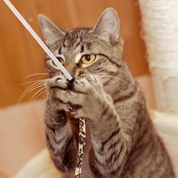 UPOUART 3Pcs Cat Stick with Bell and Leopard Ribbon Fun Teaser for Active Cats