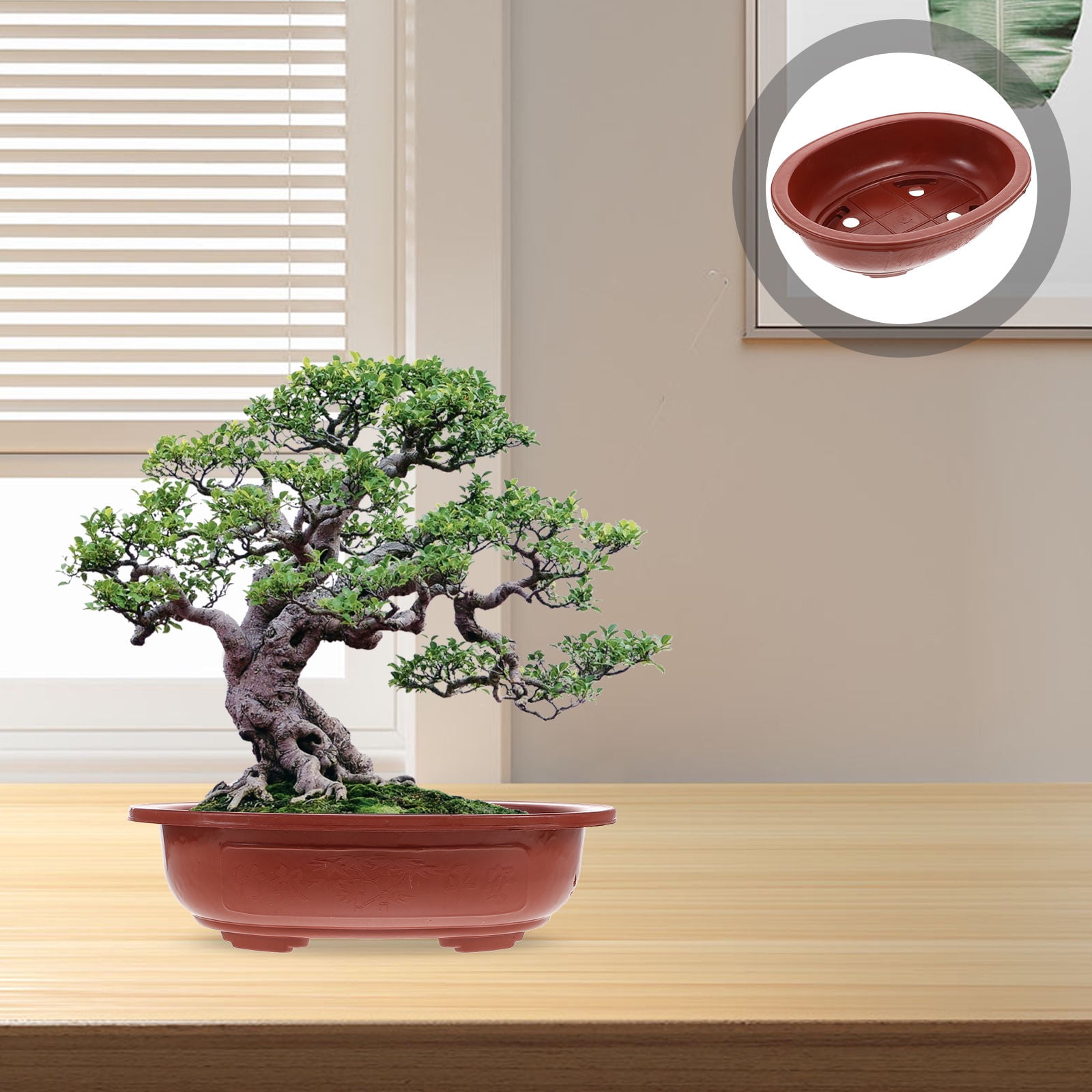 Bonsai Pots