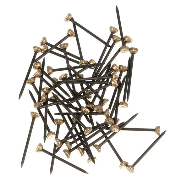 UPOUART 60Pcs Quick Picture Frame Fixing Nails Black Metal Pins for Crafting and Wall Hanging