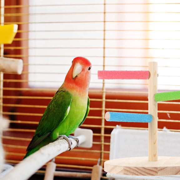 UPOUART Bird Training Perch Stand Durable Wooden Platform for Indoor Parrot Training