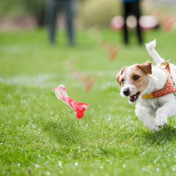 UPOUART Chew Toy TPR Oral Care Reduce Plaque and Tartar For Dogs 1Set