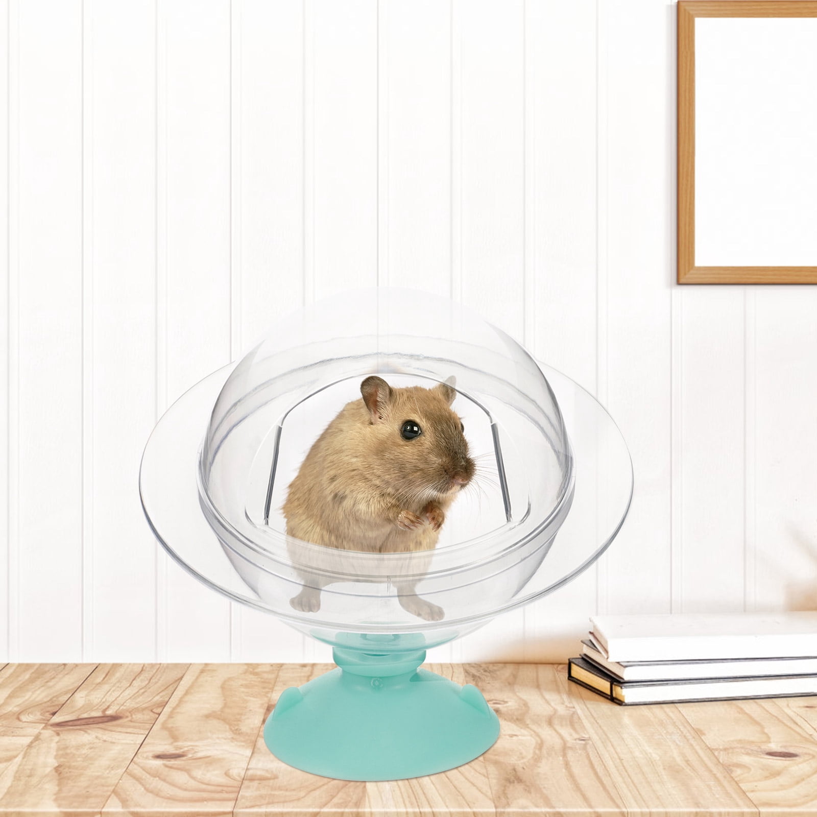 Photo inspiration: Compact Hamster Accessories For Small Areas Reference: Upouart Compact Hamster Sand Bath Container For Home Use With