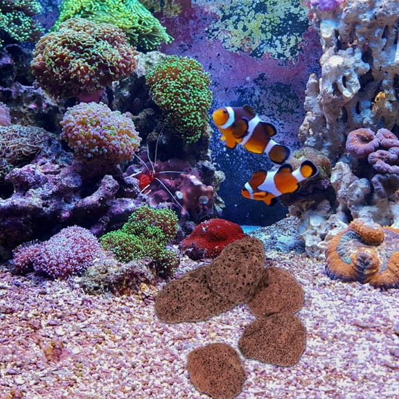 UPOUART Dark Brown Volcanic Aquarium Stone with Porous , Fish Tank Filter Material for Clean Water