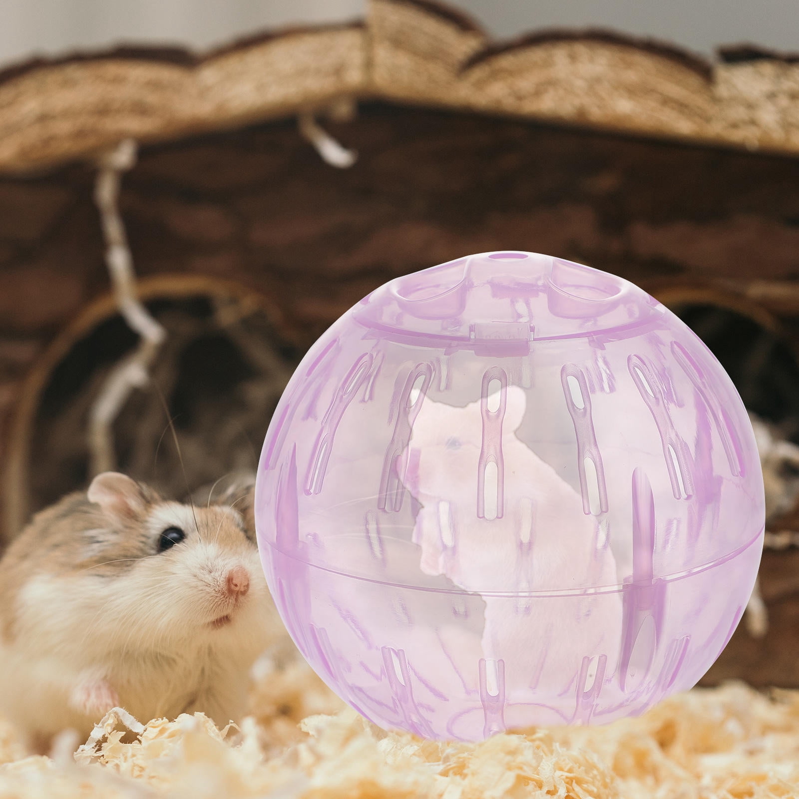 UPOUART Hamster Training Toys Hamster Exercise Balls Light Green ...
