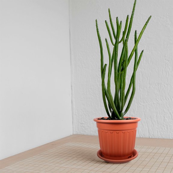 UPOUART Red Round Plastic Outdoor Plant Pot, Decorative Flower Planter, Lightweight and Easy to Maintain Garden Container