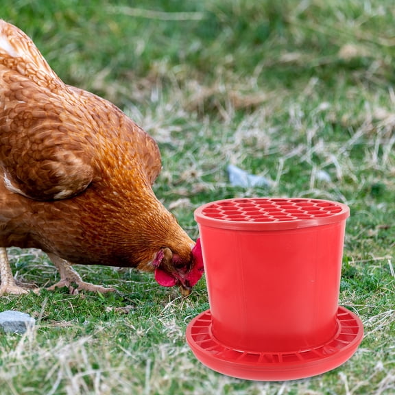 UPOUART Red Automatic Poultry Feeder for Home Use Plastic Container with Multiple Feeding Compartments
