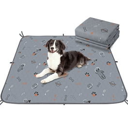 American Kennel Club Scented Puppy Training Pads with Ultra Absorbent Quick Dry Gel 22 x 22 Puppy Pads Fresh Scented Pack of 50 Walmart
