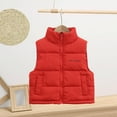 thumbnail image 1 of UQJfacai Boys Puffer Vest Kids Stand Collar Zip Up Quilted Jackets Sleeveless Winter Coat Warm Padded Outerwear with Pockets 3-15 Years, 1 of 3
