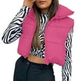thumbnail image 1 of UQJfacai Womens Cropped Puffer Vest Zip Up Stand Collar Lightweight Sleeveless Padded Gilet Winter Coats Casual Outerwear with Pockets, 1 of 8